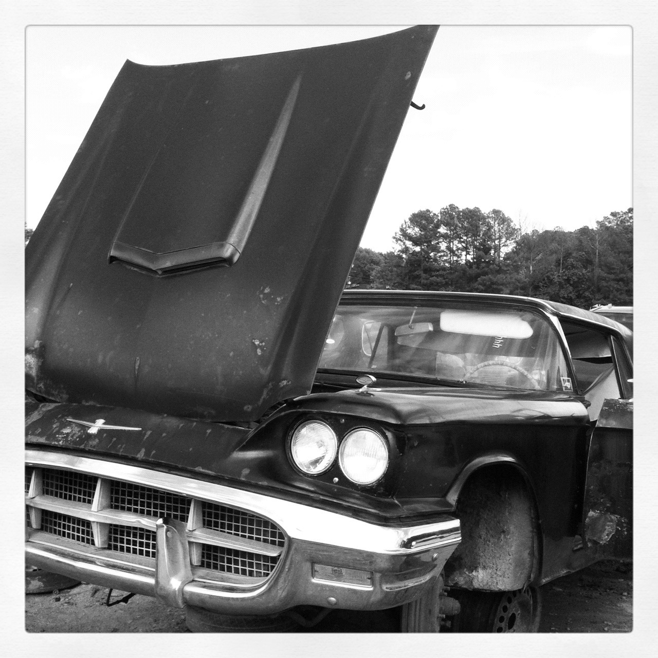 I Heart Instagram & The Junkyard 20120601 121013 I Heart Instagram & The Junkyard