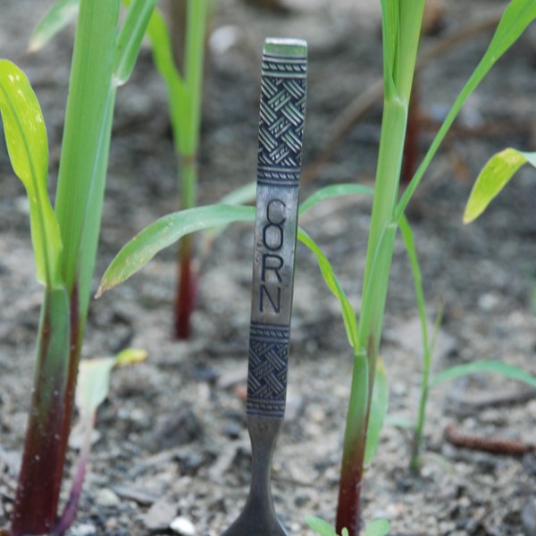 DSC_0181_600x600 dsc 0181 600x600 DIY Stamped Silverware Garden Markers