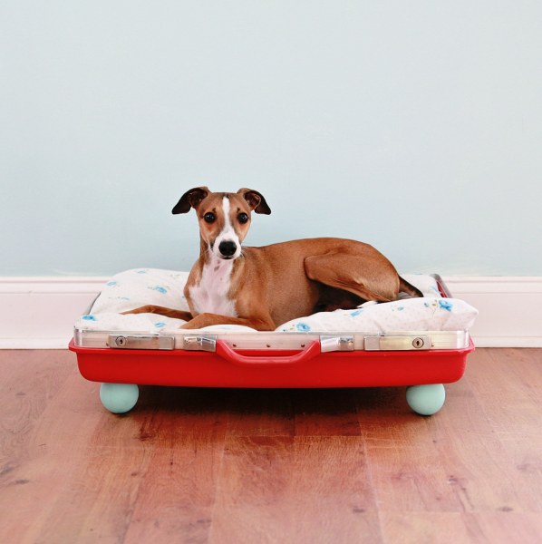 IMG_9288_598x600 img 9288 598x600 Beau & Rouxs Corner DIY Pet Bed